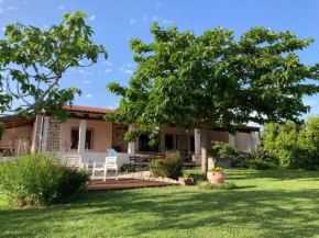 Countryside villa in Sardinia